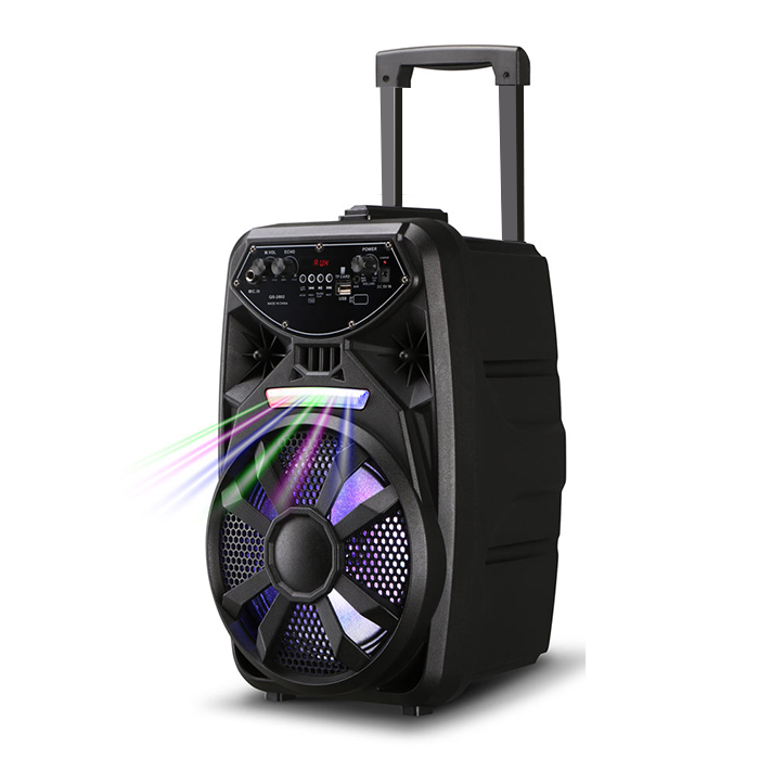 PT862 Powerful Outdoor Multimedia PA Sound System with Bass Boost