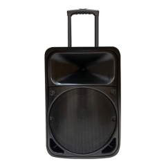 PT1505 Professional Trolley PA Sound System for Live Performances