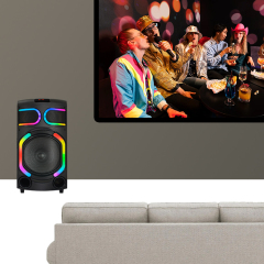 PT1501 big party bluetooth speaker for home entertainment