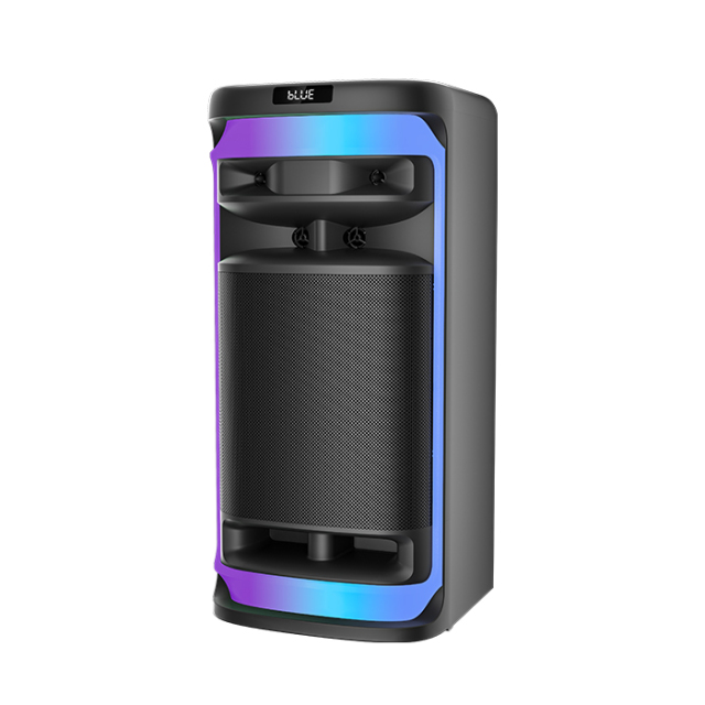 PT1525 party pal speaker best outdoor speaker for party