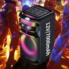 PT1225 bluetooth speaker for parties best outdoor party speaker
