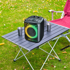 PT608 Bluetooth Karaoke Speaker with Light Show