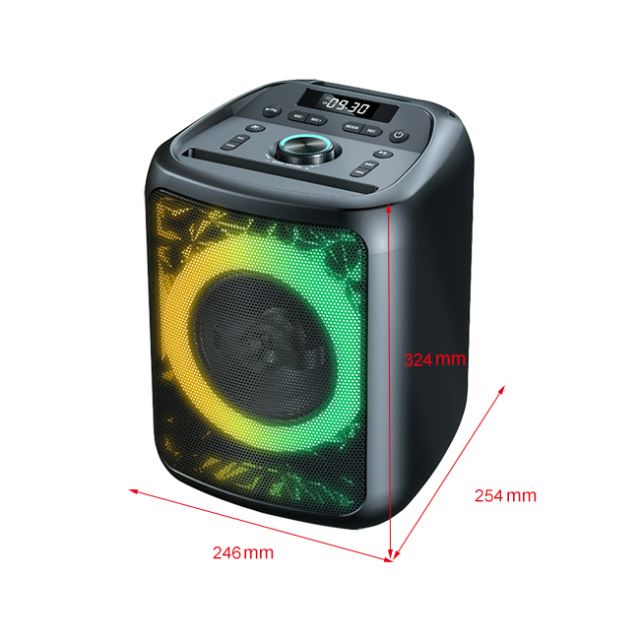 PT608 LED Display Compact Portable Speaker OEM Size.jpg