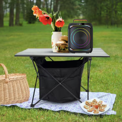 PT610 Outdoor Bluetooth Speaker with Rechargeable Battery for Camping Use