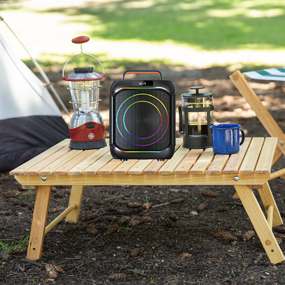 PT610 Outdoor Wireless Speaker Playing Music at Campsite