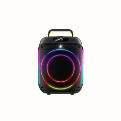 PT615 Handle Portable Speaker With LED Party Light Show