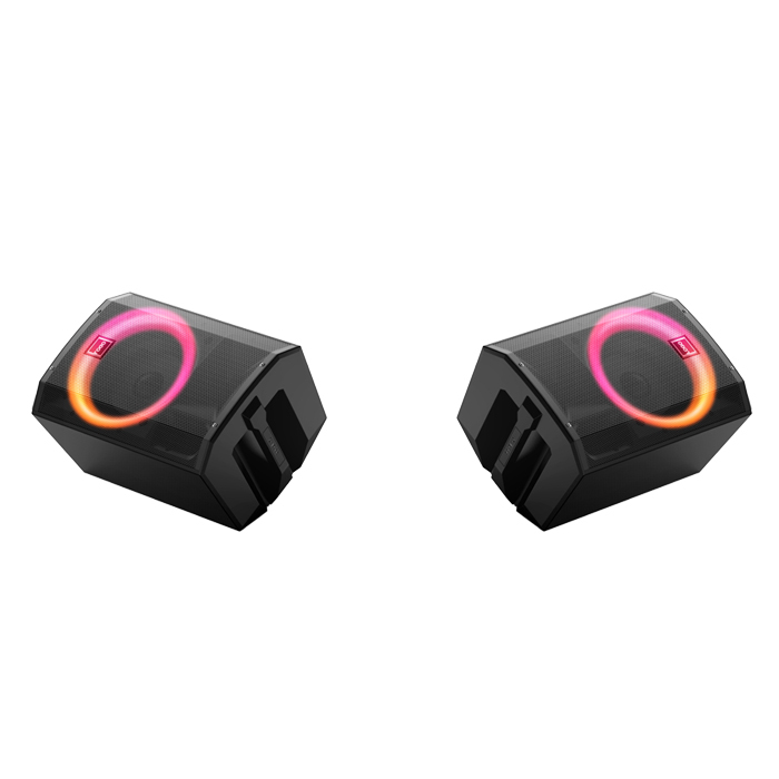 PT812 Portable PA System for Karaoke and Live Use