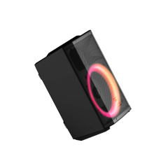 PT812 Portable Street Audio Amplifier with Microphone Jack