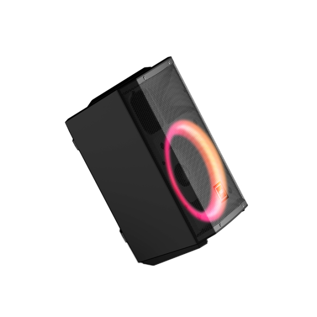 PT812 Portable Street Audio Amplifier with Microphone Jack