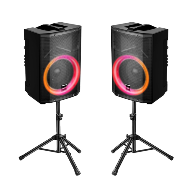 PT812 Street Performance PA Speaker Rechargeable PA System