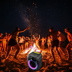PT809 Best Sounding Bluetooth Speaker Portable Speaker For Party