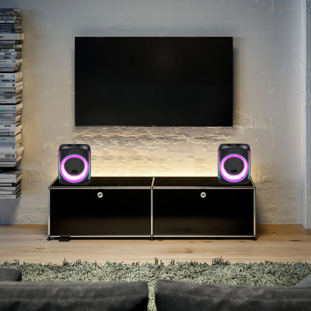 PT809 Bluetooth Speaker For TV Portable Party Speaker