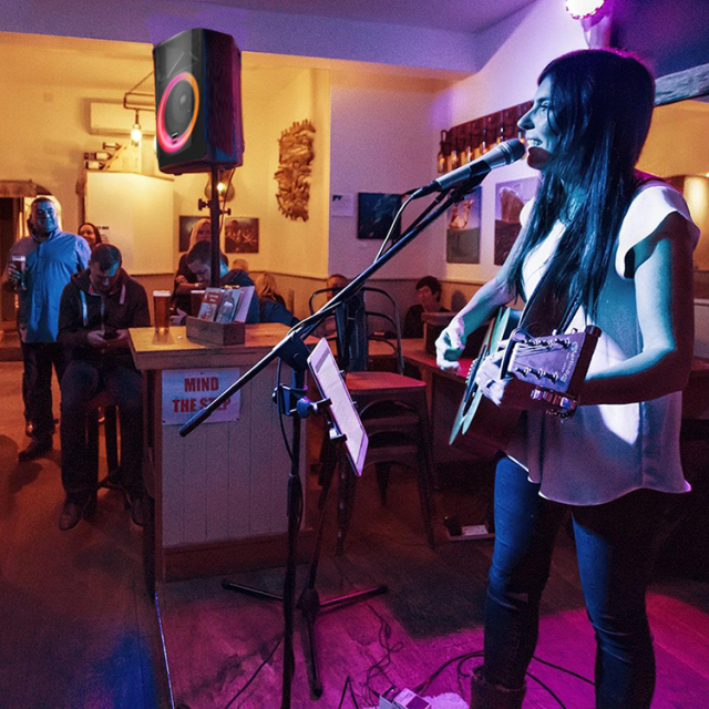 PT812 PA  System Portable Bluetooth Speaker