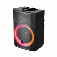 PT812 Portable Party Speaker with Top Handle for Outdoor Events