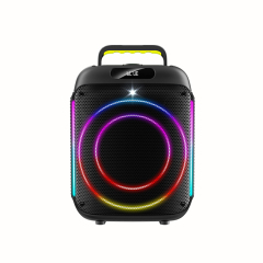 PT815 Bluetooth Speaker Wireless Speaker Best Compact Bluetooth Speaker