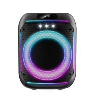 8 inch portable microphone and speaker​