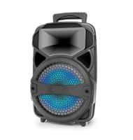 6.5 inch portable wireless speaker​