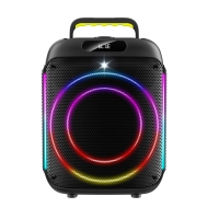 6.5 inch portable mic and speaker​