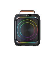 8 inch bluetooth portable speaker​