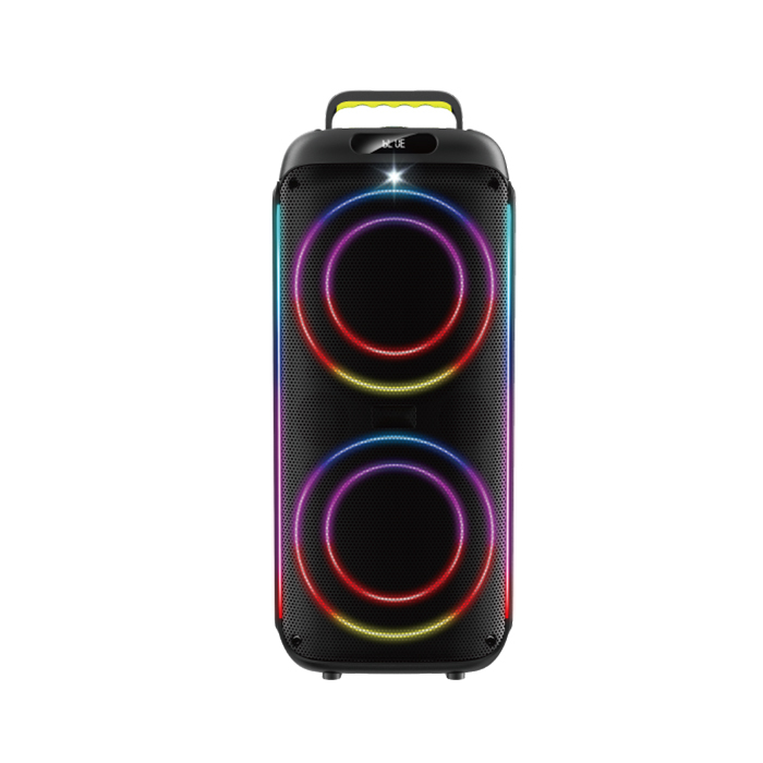 PT9815 Dual 8" Portable Party Speaker with Deep Bass and LED Lights | OEM Ready