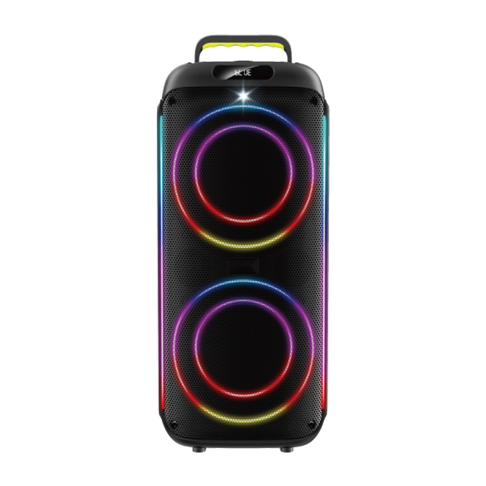 PT9815 Dual 8" Portable Party Speaker with Deep Bass and LED Lights | OEM Ready