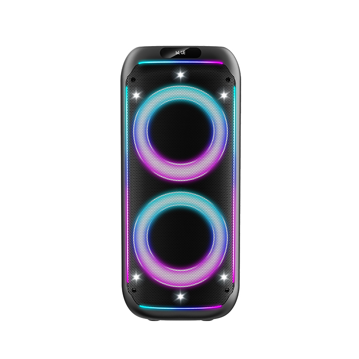 Portable 6.5 Inch Karaoke Party Speaker Manufacturer – PT9603 BT Speaker OEM