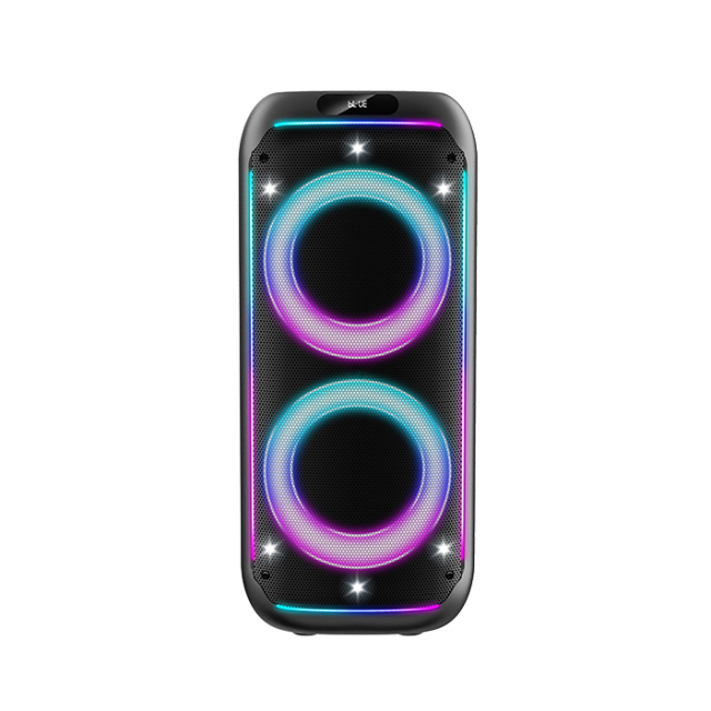 Portable 6.5 Inch Karaoke Party Speaker Manufacturer – PT9603 Bluetooth Speaker OEM