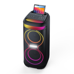 PT9612B big portable speaker with screen