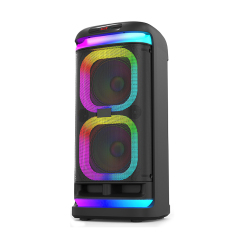 PT9613B dual 6.5 inch loudest portable speaker long play time