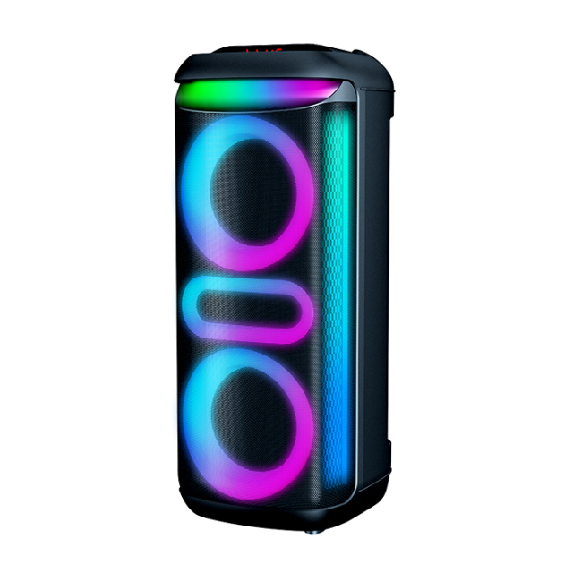 PT9810 wireless speaker portable