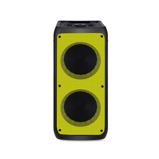 PT987 massive portable speaker