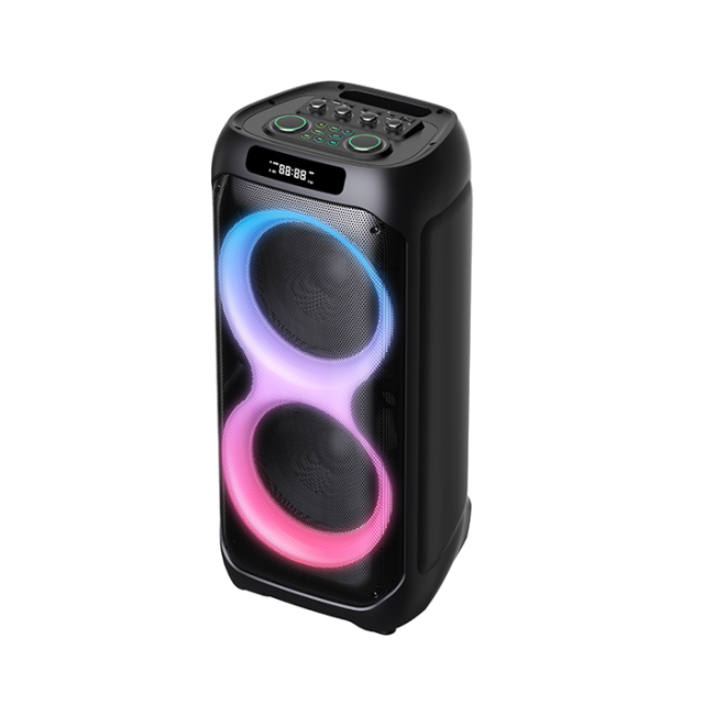 PT9836 best portable outdoor speaker​