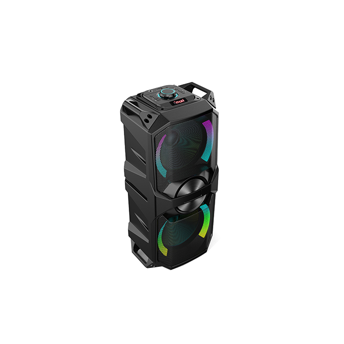 PT9610 best bluetooth speaker for home