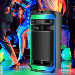 PT1525 party box speaker AC powered speaker