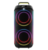 double 8 inch party house speaker