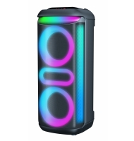 double 8 inch party speaker with lights