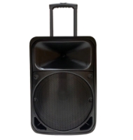 15 inch best outdoor party speaker​