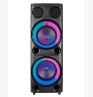 double 12 inch block party speaker​