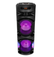 double 12 inch bluetooth party speaker portable​
