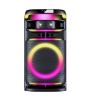 12 inch party wireless speaker