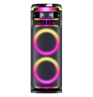 double 12 inch party speaker best