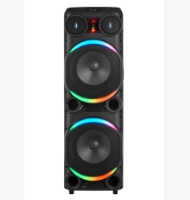 double 12 inch house party speaker