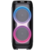 double 12 inch house party speaker​