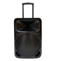12 inch party rocker speaker