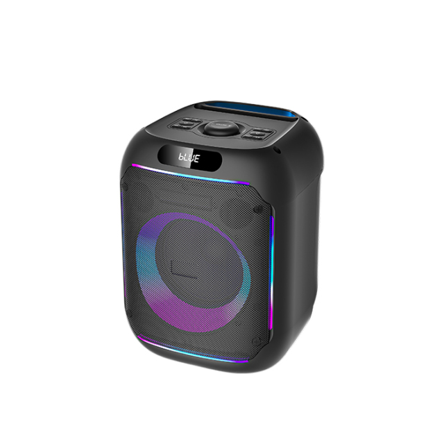 PT607 portable tv speaker