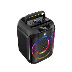 PT615 portable dj speaker