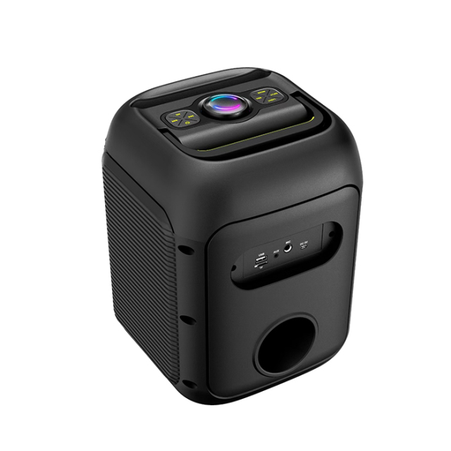 PT615 speaker mini portable