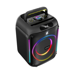 PT815 portable speaker for karaoke