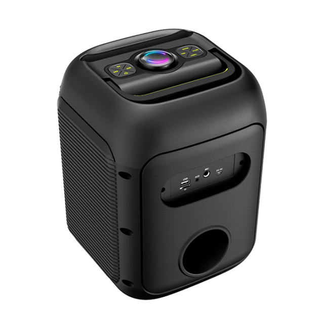 PT815 portable speaker microphone