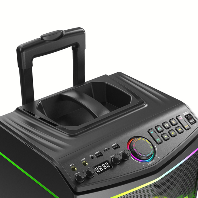 PT1208 bluetooth outdoor party speaker PA system